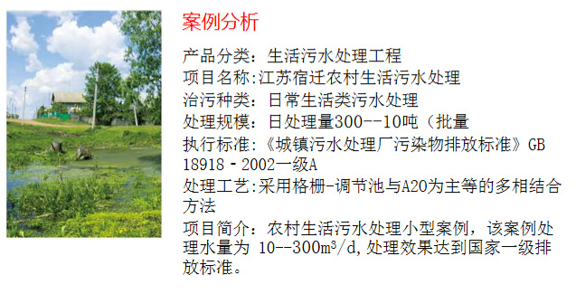 農村生活污水處理工程(圖2)